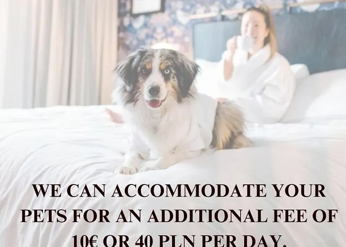 Lumina Lux On Drewnowska *